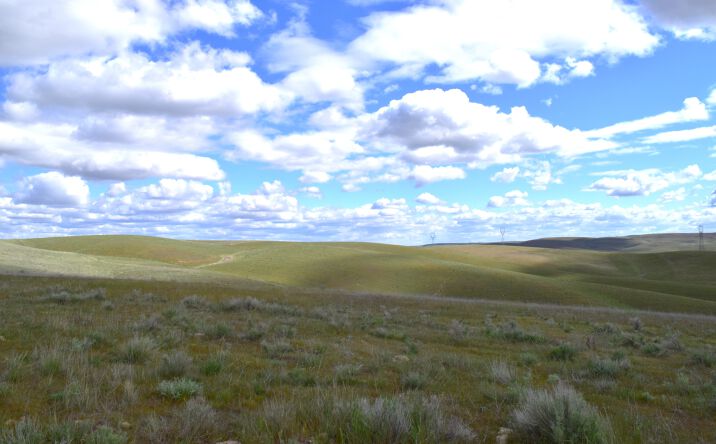 Pictures of Land property located at Scott Station Rd, Prescott, WA 99348 for sales - image #1