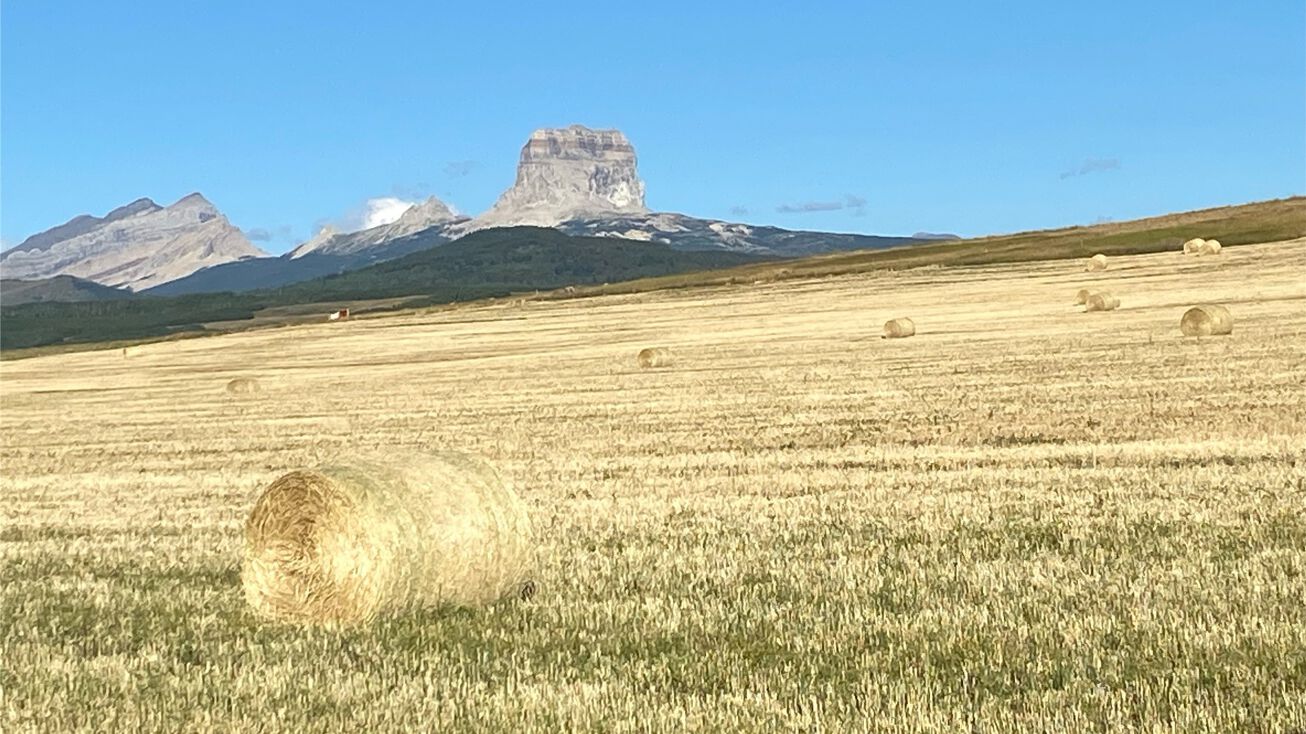 1 Boulder Drive, Babb, MT 59411