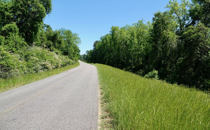 Pictures of Land property located at E. Reeves Street, Malvern, AL 36375 for sales - image #1