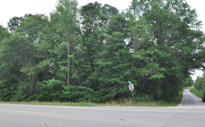 Pictures of Office, Industrial, Retail, Hospitality property located at 000 SE Corner of Hwy 43 South and Donald Mitchell Rd, Picayune, MS 39466 for sales - image #1