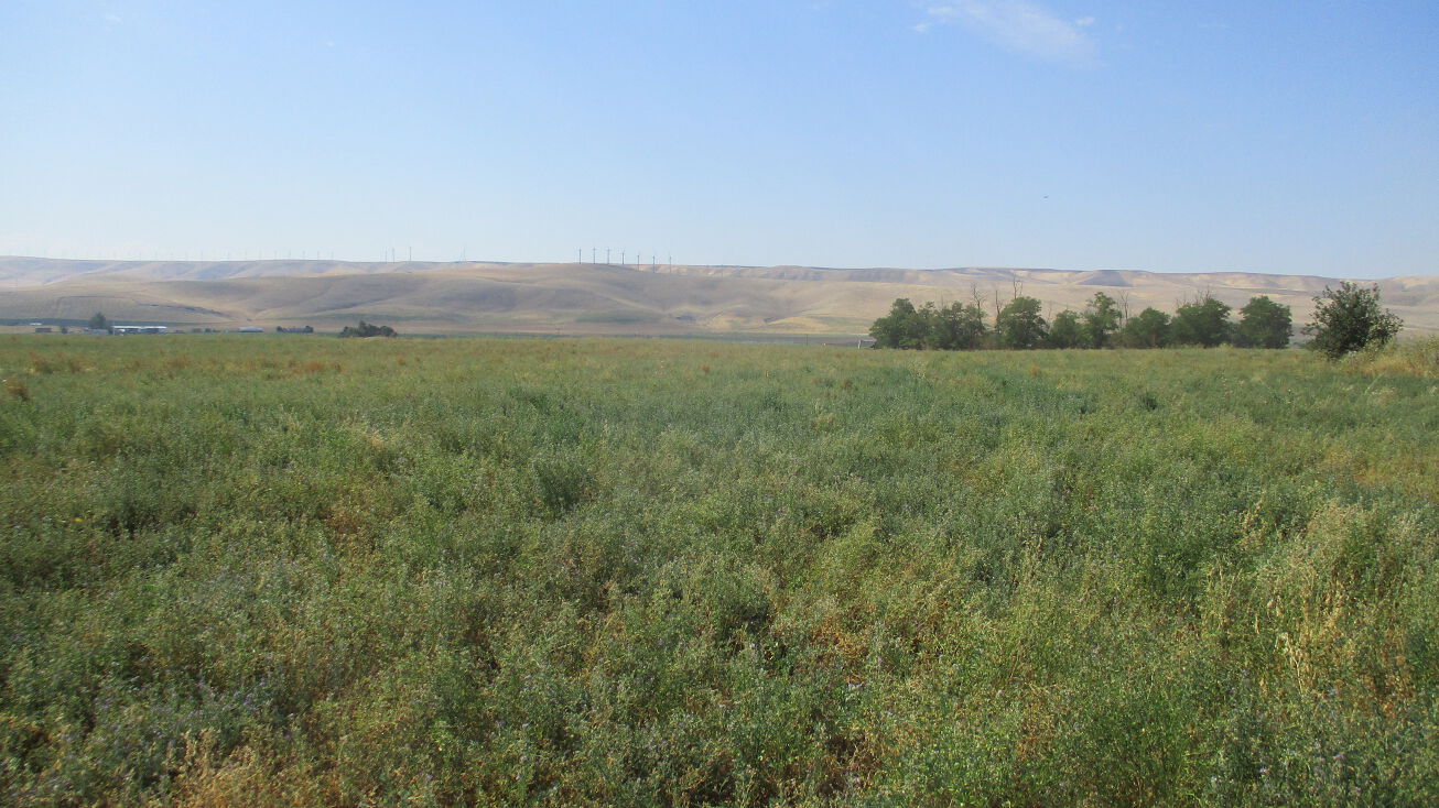 tbd Thurber Road, Touchet, WA 99360