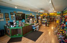 17437805