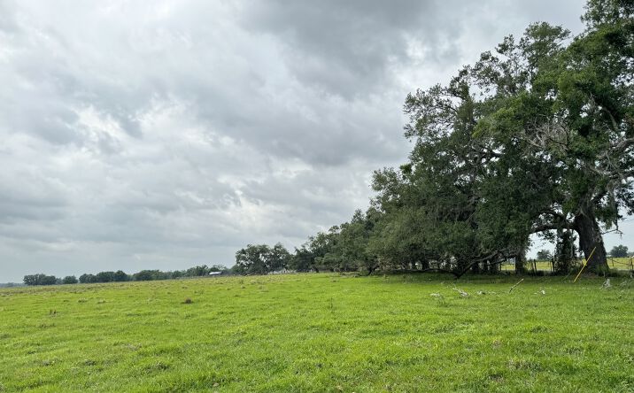 Pictures of Land property located at Southeast Highway 70, Arcadia, FL 34266 for sales - image #1
