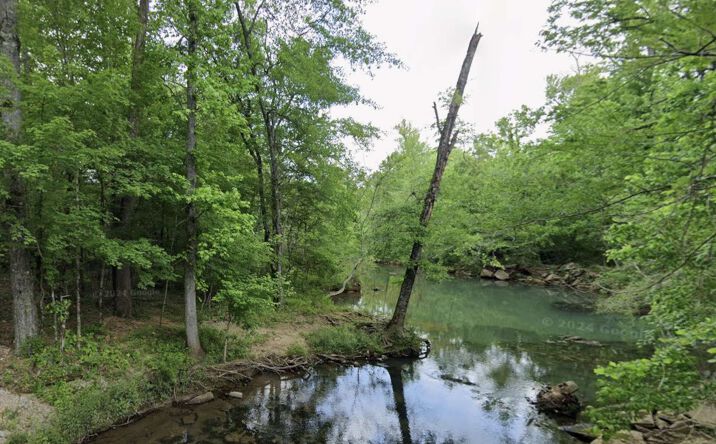 Pictures of Land property located at Powder Plant Rd, Bessemer, AL 35023 for sales - image #1