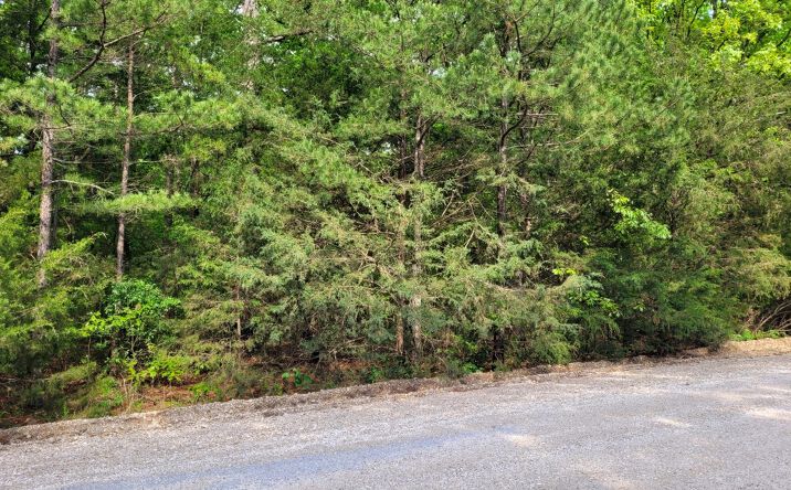 Pictures of Land property located at 227 Medley Rd, Evening Shade, AR 72532 for sales - image #1