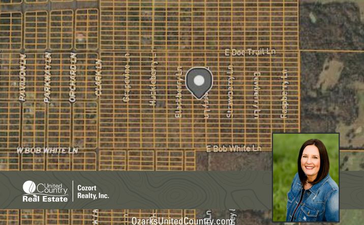 Pictures of Land property located at 1412 Blackberry Ln, Horseshoe Bend, AR 72512 for sales - image #1
