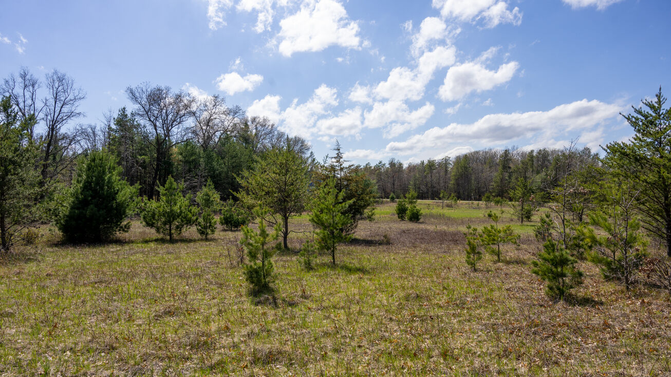 N6104 County Rd G, Mauston, WI 53948