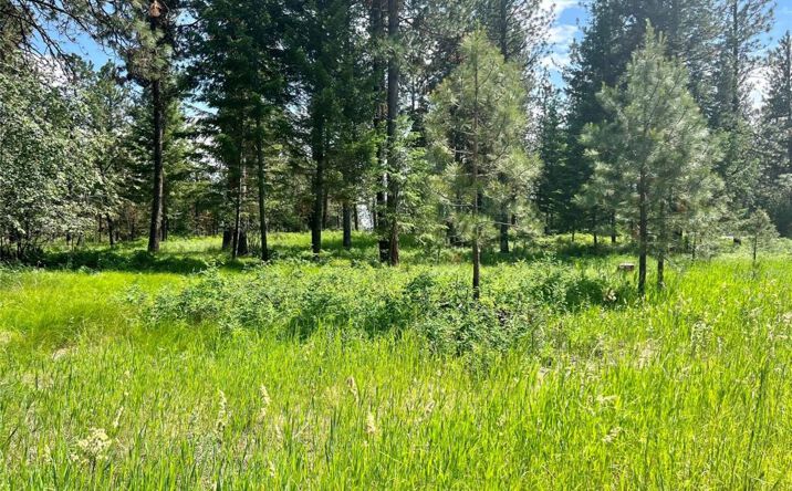 Pictures of Land property located at Lot 17 Meadow Road, Polson, MT 59860 for sales - image #1