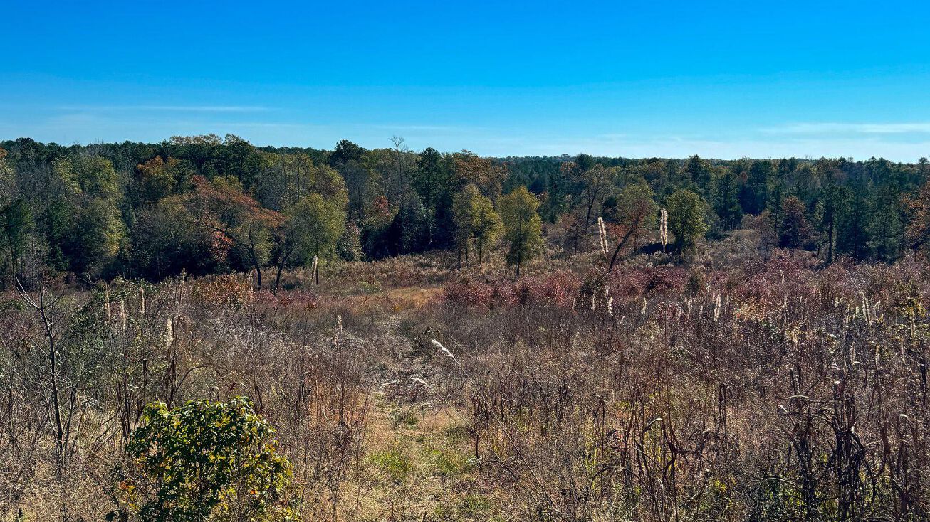 Tbd Cr 4345, Bivins, TX 75555