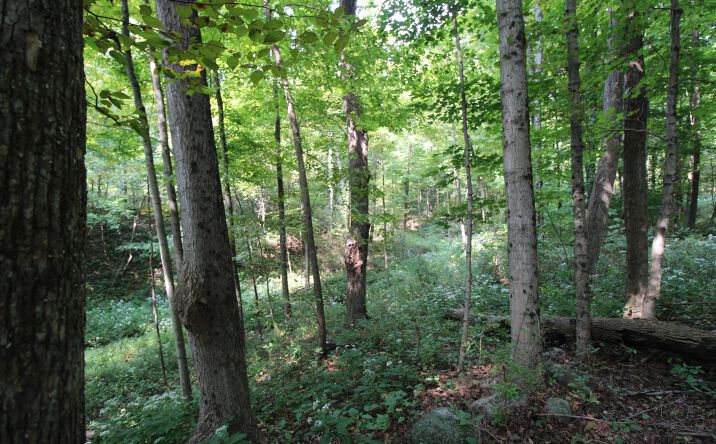 Pictures of Land property located at 0 Columbus Road, Mount Vernon, OH 43050 for sales - image #1
