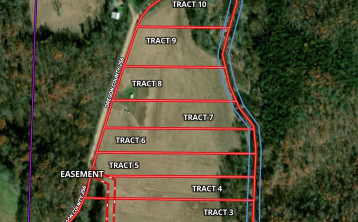 Pictures of Land property located at Tract 1 County Road 256, Thayer, MO 65791 for sales - image #1