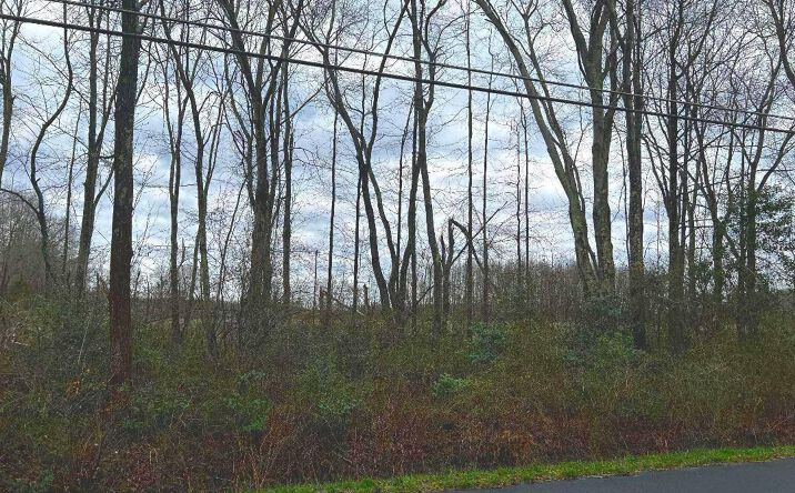 Pictures of Land property located at 432 Ongs Hat Rd, Southampton Township, NJ 08088 for sales - image #1
