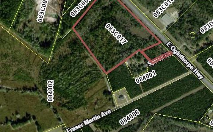 Pictures of Land property located at 19.4 AC Oglethorpe Hwy, Flemington, GA 31309 for sales - image #1