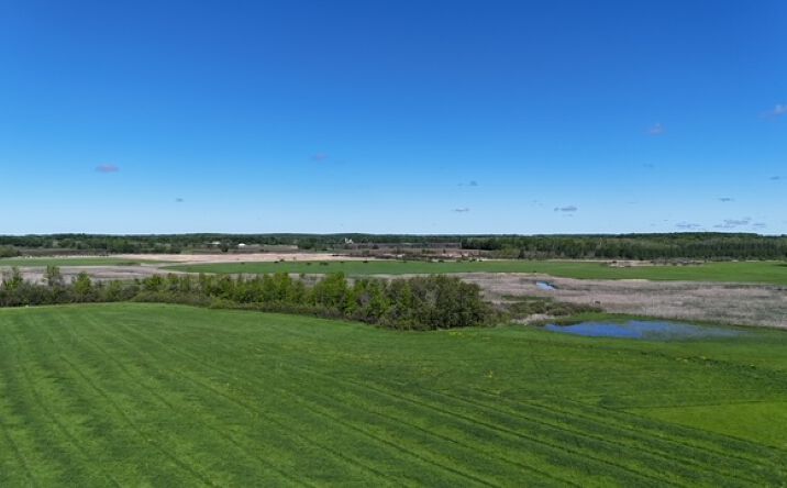 225th St, Randall, MN 56475 | Crexi.com