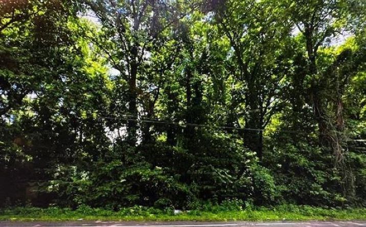 Pictures of Land property located at 47 E Brooks Rd, Memphis, TN 38109 for sales - image #1