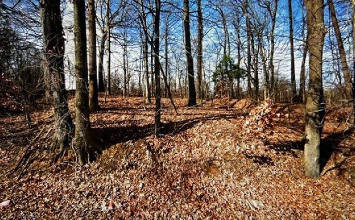 Pictures of Land property located at 3273 S Gill Rd, Memphis, TN 38109 for sales - image #1