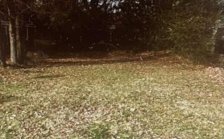 Pictures of Land property located at 1816 Kerr Ave, Memphis, TN 38114 for sales - image #1