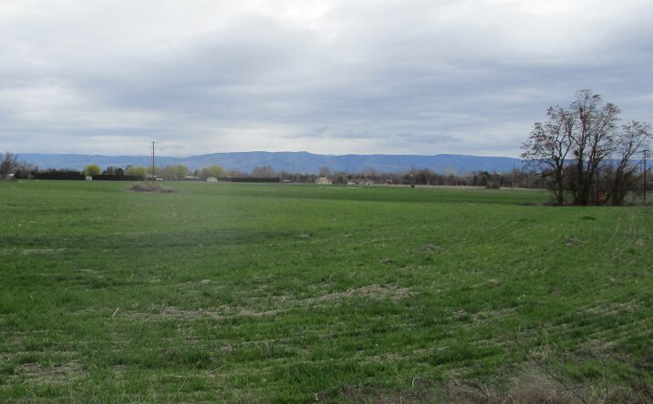 Pictures of Land property located at Bunchgrass Ln, Walla Walla, WA 99362 for sales - image #1
