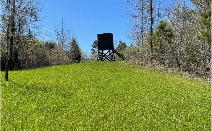 Pictures of Land property located at Lindsey Rd, Kosciusko, MS 39093 for sales - image #1