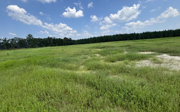 Pictures of Land property located at 1000 Radcliff Rd, Saraland, AL 36525 for sales - image #1
