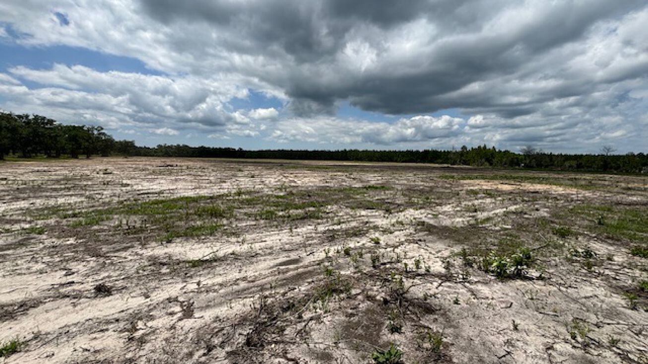 1100 Radcliff Rd, Creola, AL 36525