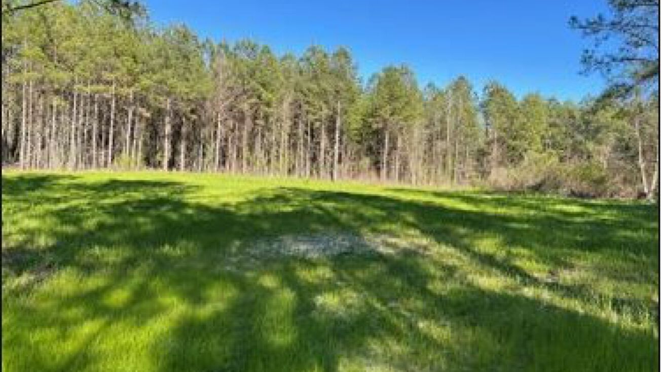 Hester Rd, Reform, MS 39735