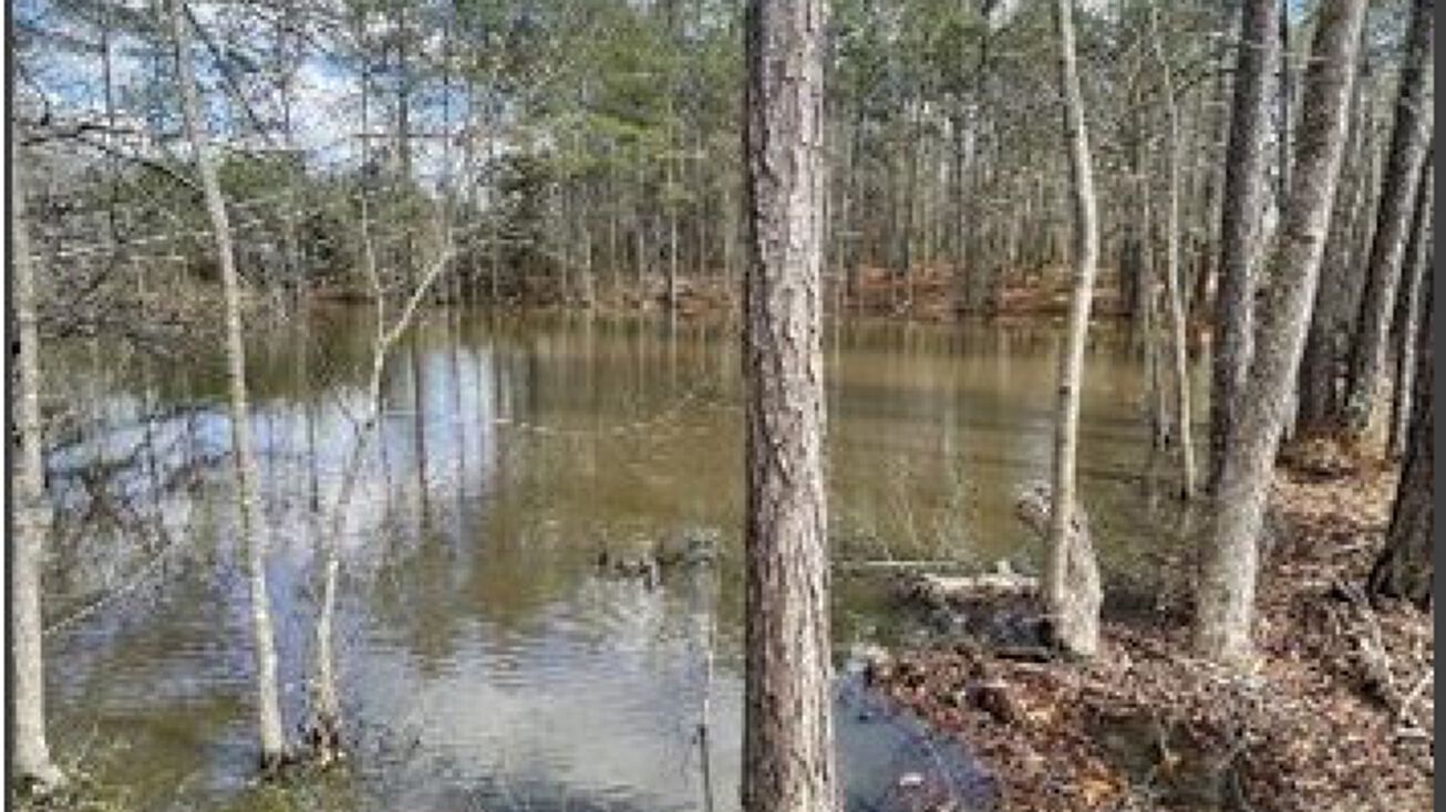 20 Acres in Choctaw County, McCool, MS 39108