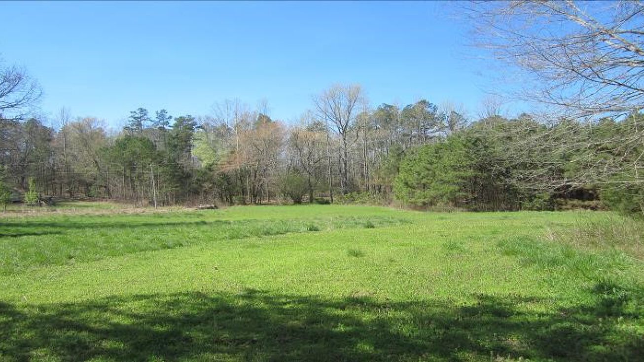 1241 Co Rd 331, Falkner, MS 38629