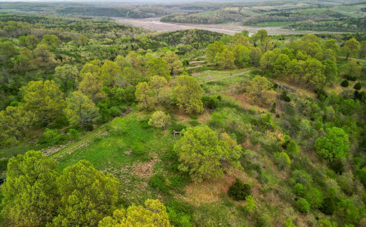 State Hwy D, Thornfield, MO 65762 | Crexi.com