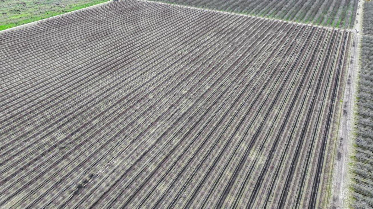 S Butte Ave, Kerman, CA 93630