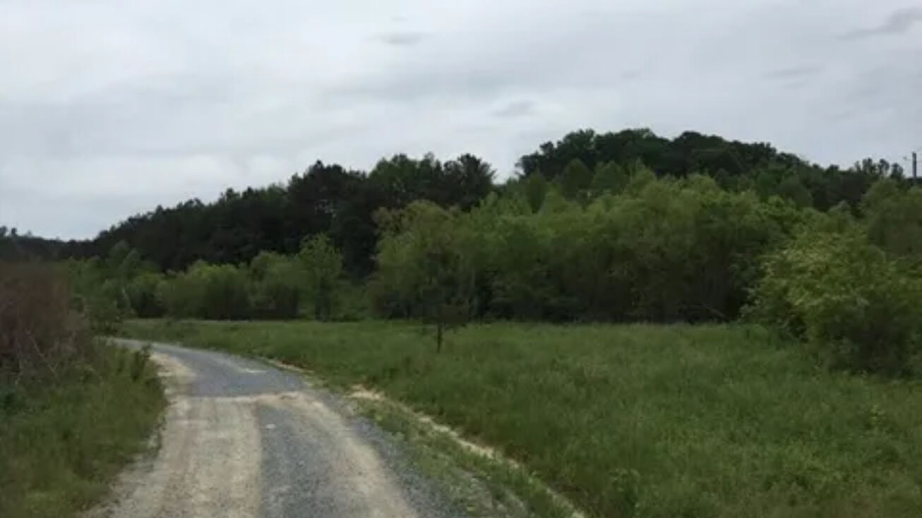 966 Progress Rd, East Ellijay, GA 30540