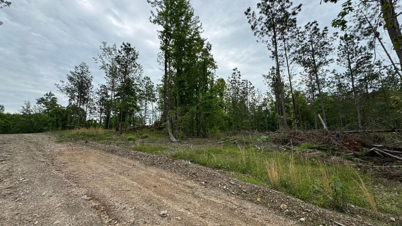 Seven Roses Lane, Lonsdale, AR 72087