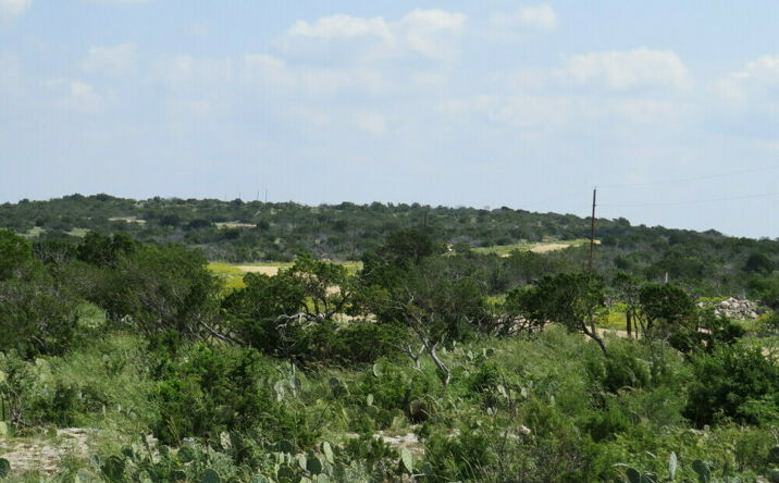 Pictures of Land property located at RM 189, Juno, TX 76950 for sales - image #1