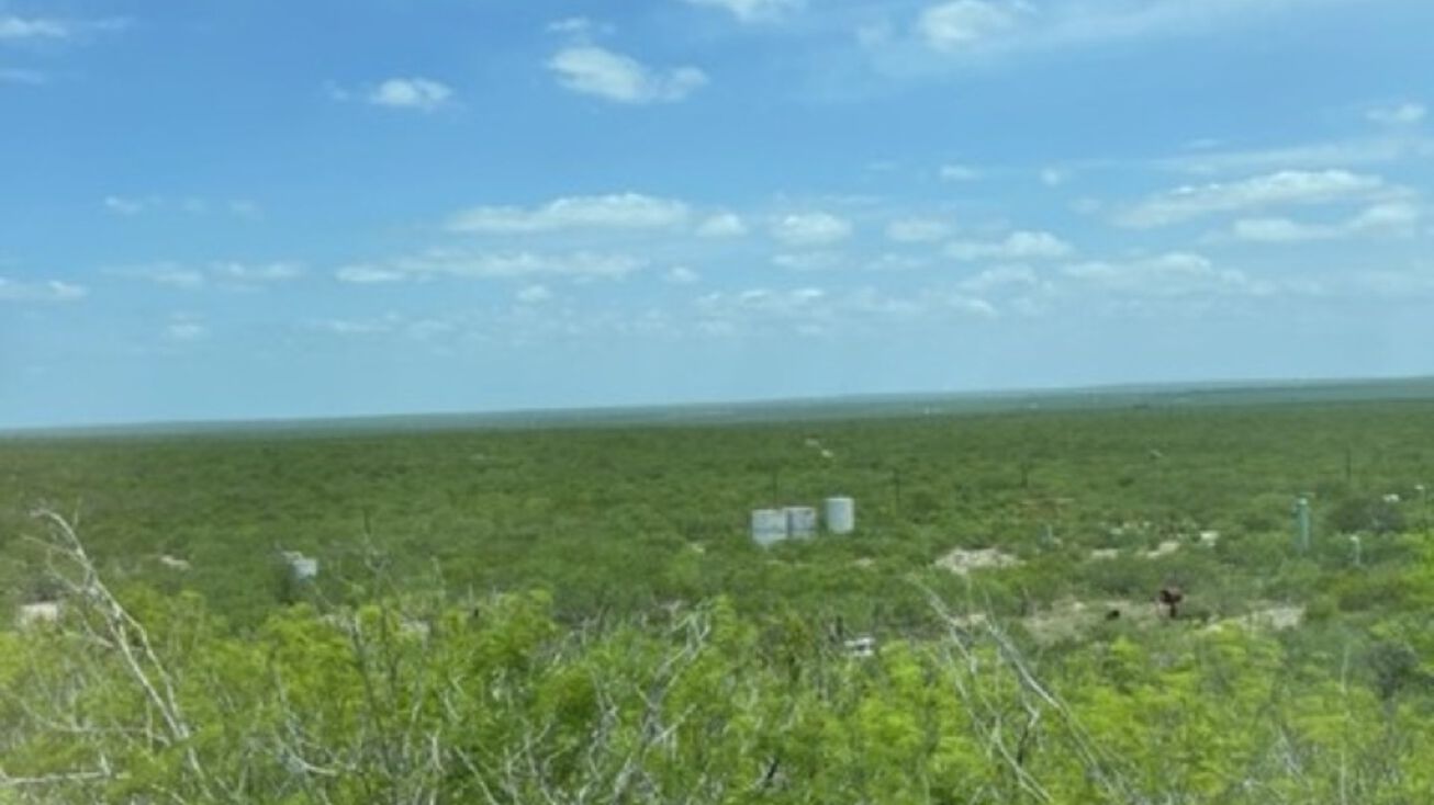 Soledad Creek Ranch, Benavides, TX 78341