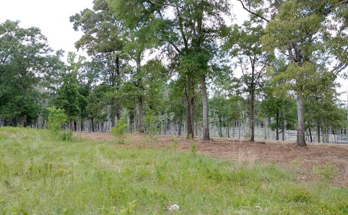 Pictures of Land property located at NHN Meadow Hill Drive, Poplarville, MS 39470 for sales - image #1