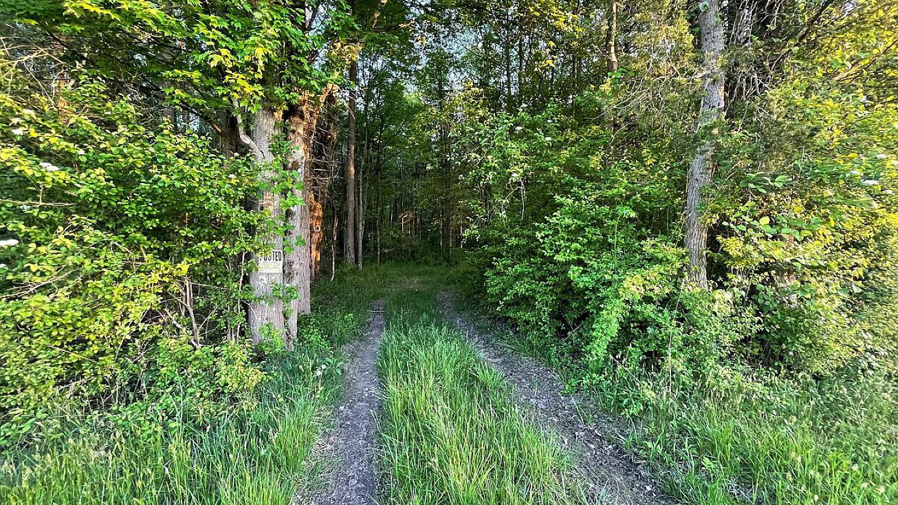 Penton Station Rd, Salem, NJ 08079