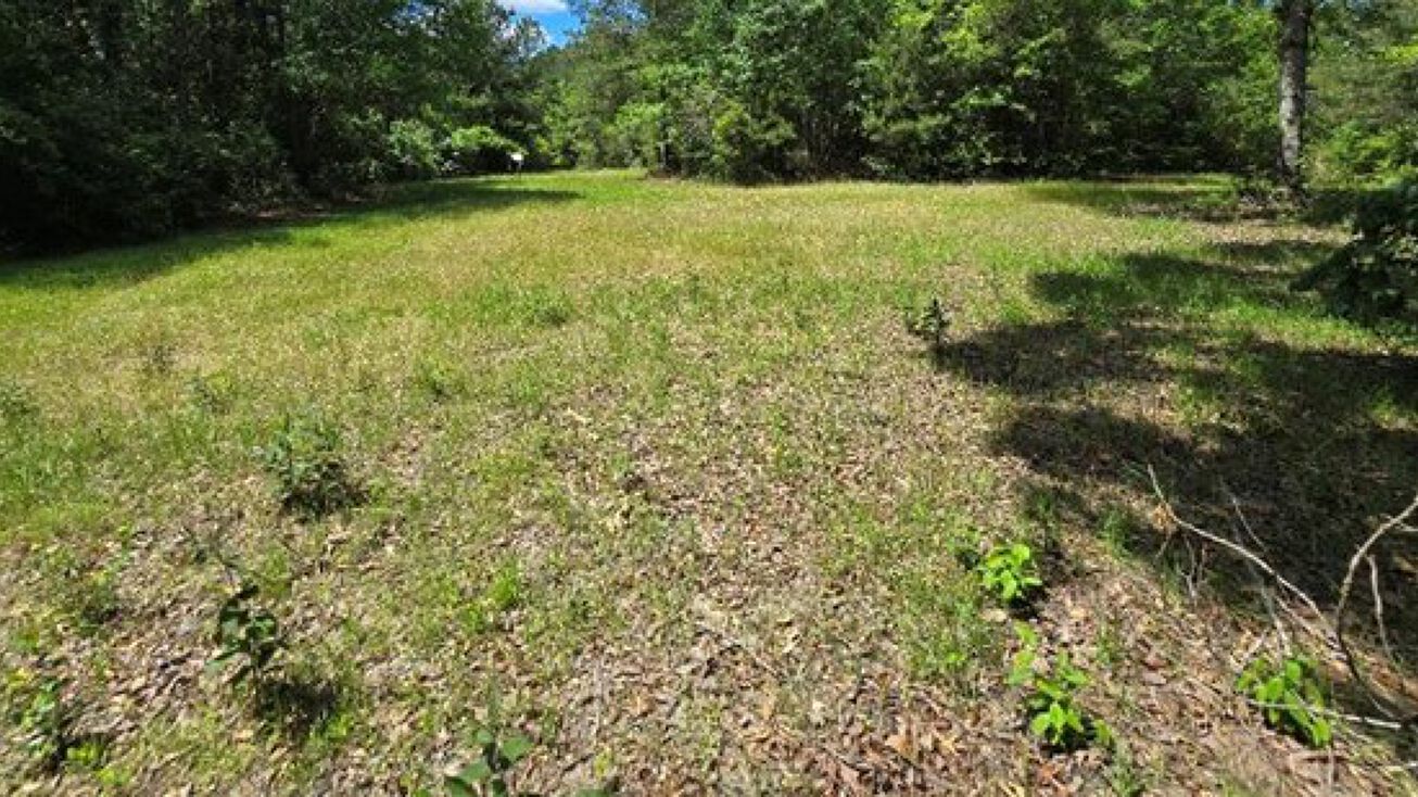 MS43, Poplarville, MS 39740