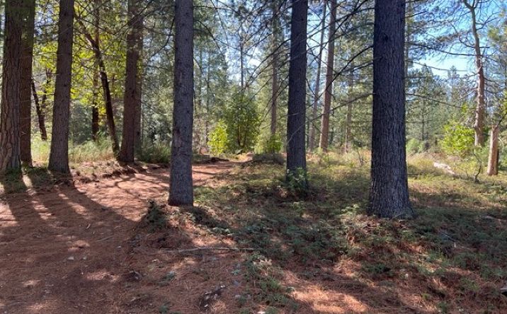 Pictures of Land property located at 10715 Brunswick Rd, Grass Valley, CA 95945 for sales - image #1