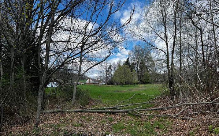 Pictures of Special Purpose, Land property located at 171 Hyde Park Road, Allegheny Twp - WML, PA 15656 for sales - image #1