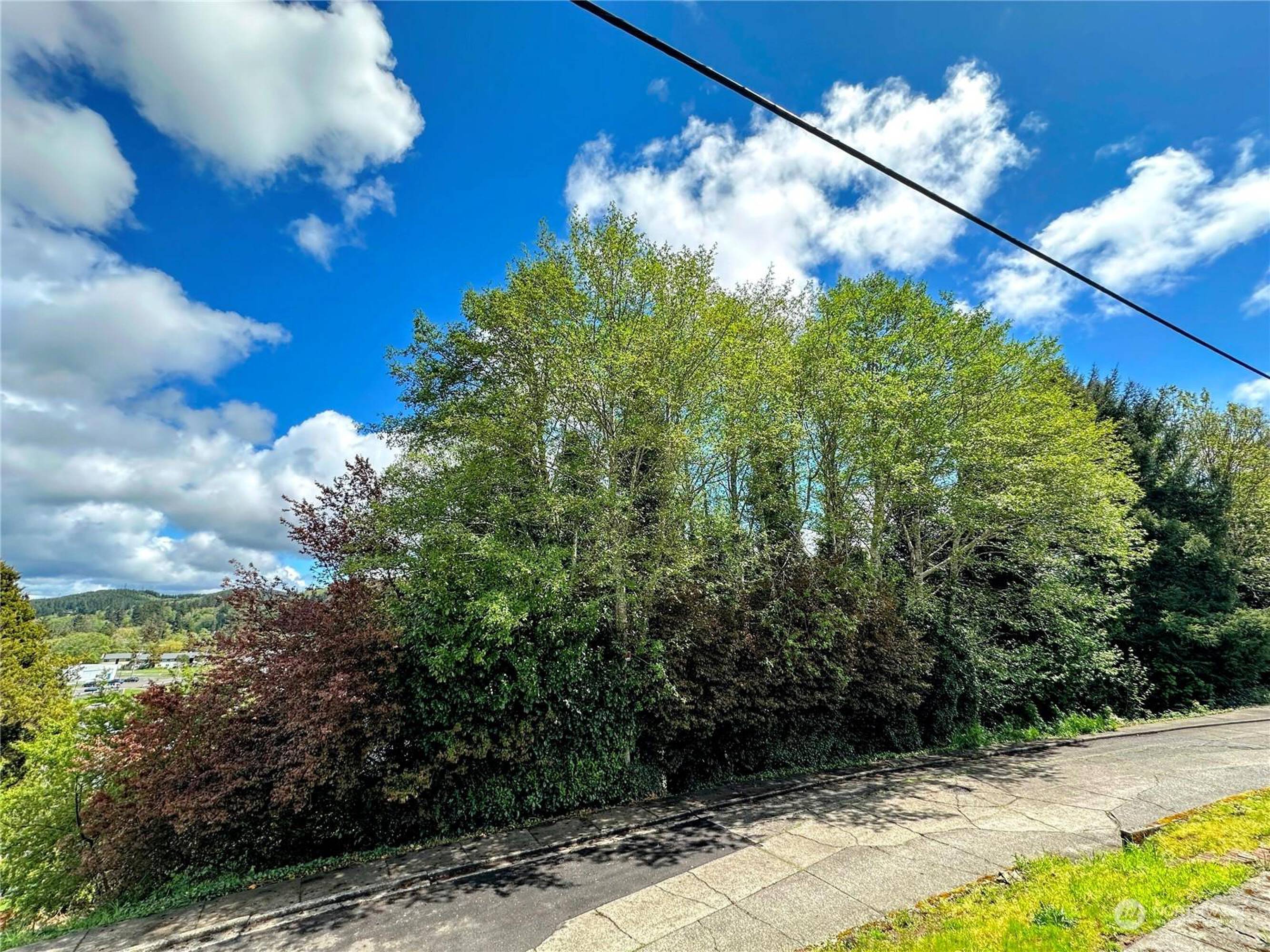 816 Terrace Ave, Aberdeen, WA 98520