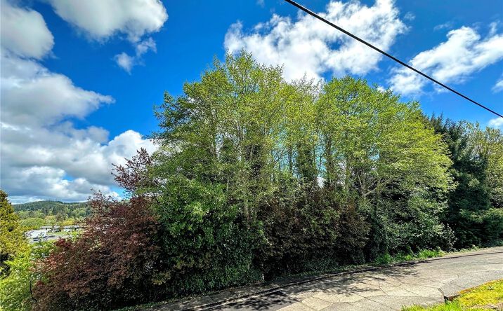 Pictures of Land property located at 816 TERRACE AVENUE, ABERDEEN, WA 98520 for sales - image #1