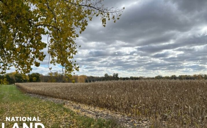 Pictures of Land property located at 820 Johnson Ave, Cokato, MN 55321 for sales - image #1