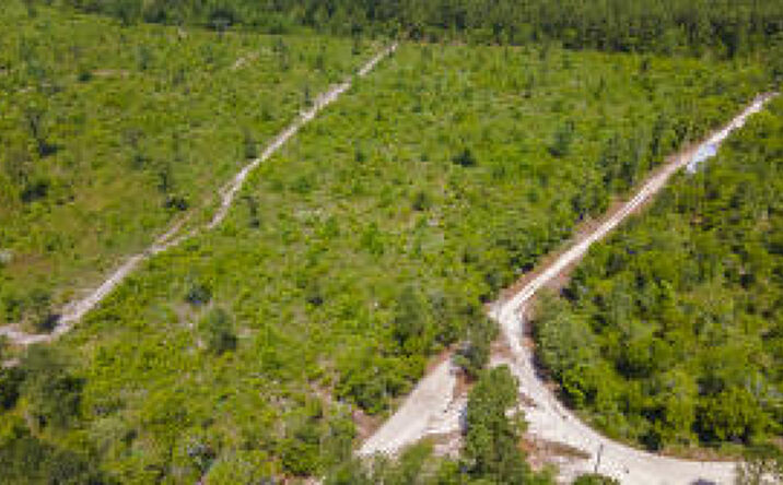 Pictures of Land property located at Lot F Old Shoals Road, Monetta, SC 29105 for sales - image #1
