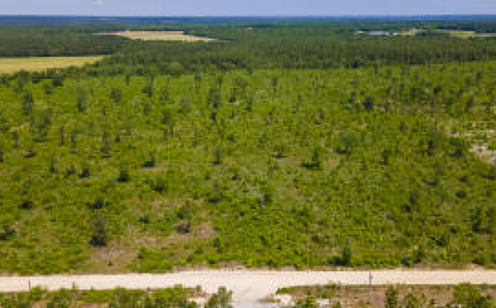 Pictures of Multifamily property located at Lot D Old Shoals Road, Monetta, SC 29105 for sales - image #1