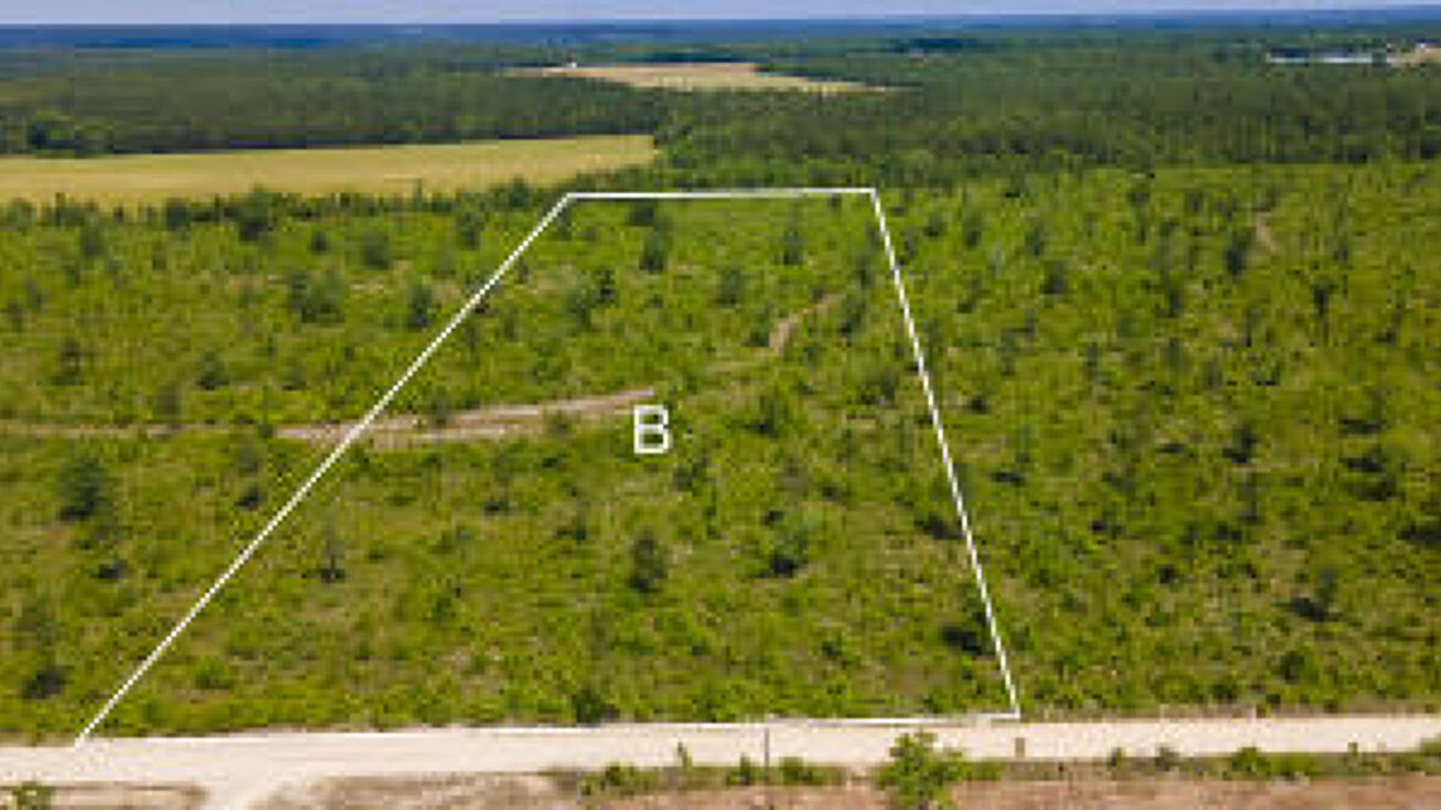 Lot B Old Shoals Road, SC 29105