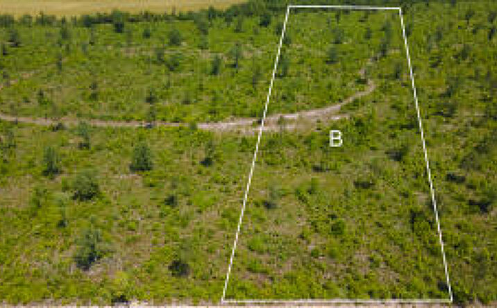 Pictures of Land property located at Lot B Old Shoals Road, Monetta, SC 29105 for sales - image #1
