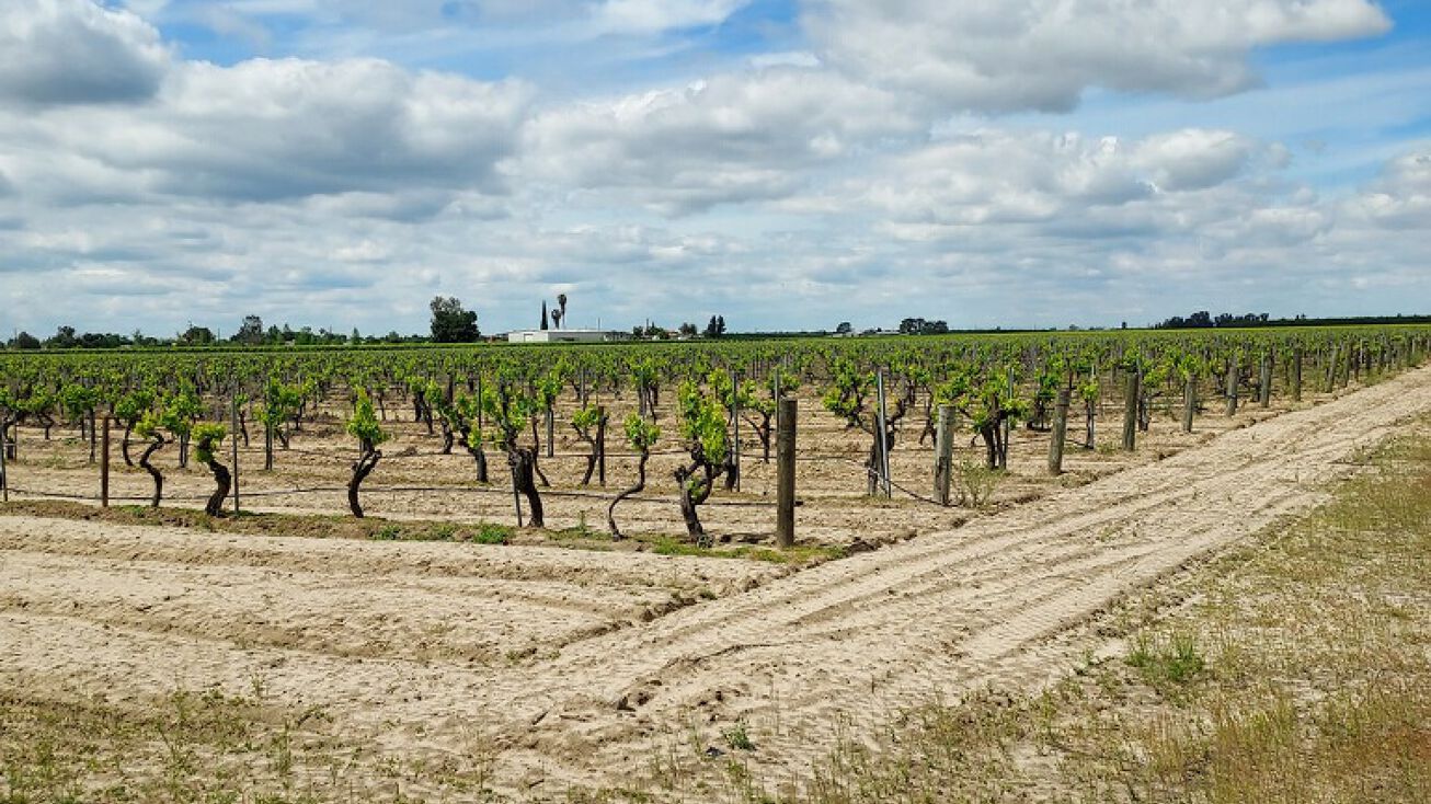 550 E Clarkson Ave, Caruthers, CA 93609