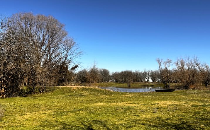 Pictures of Land property located at 261 Vickie Ln, Gunter, TX 75058 for sales - image #1