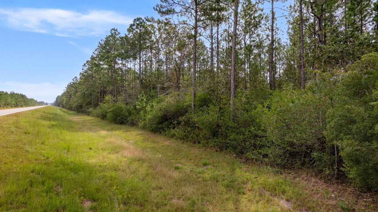 55 Acres Texas Flat Rd, Kiln, MS 39556 | Crexi.com