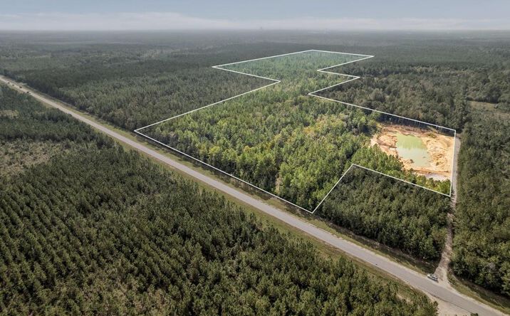 Pictures of Land property located at 55 Acres Texas Flat Rd, Kiln, MS 39556 for sales - image #1